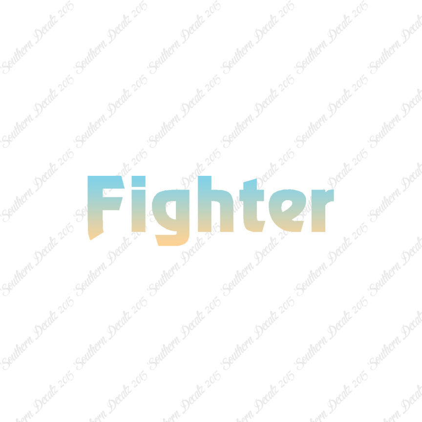 Fighter