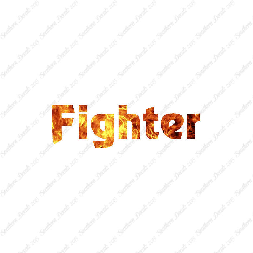 Fighter