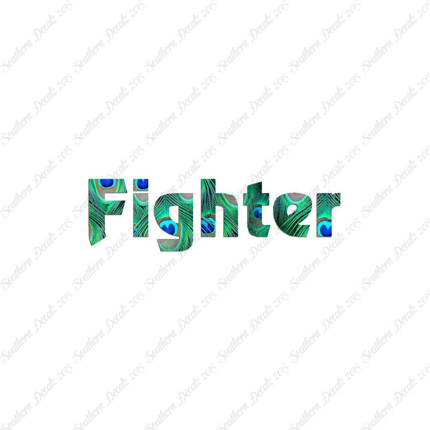 Fighter