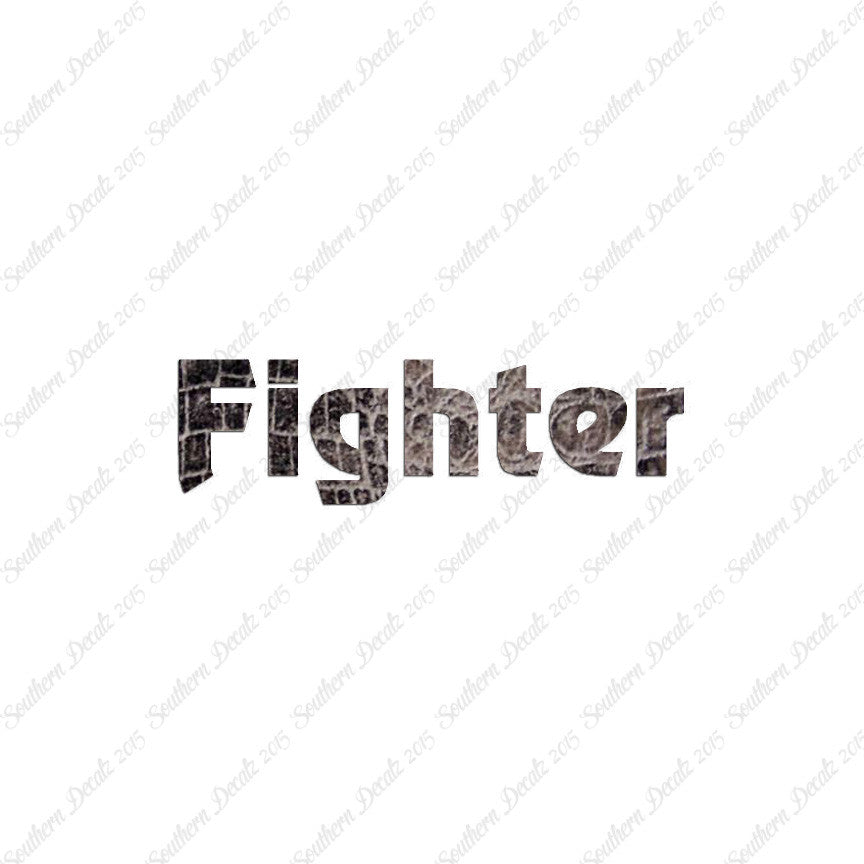 Fighter