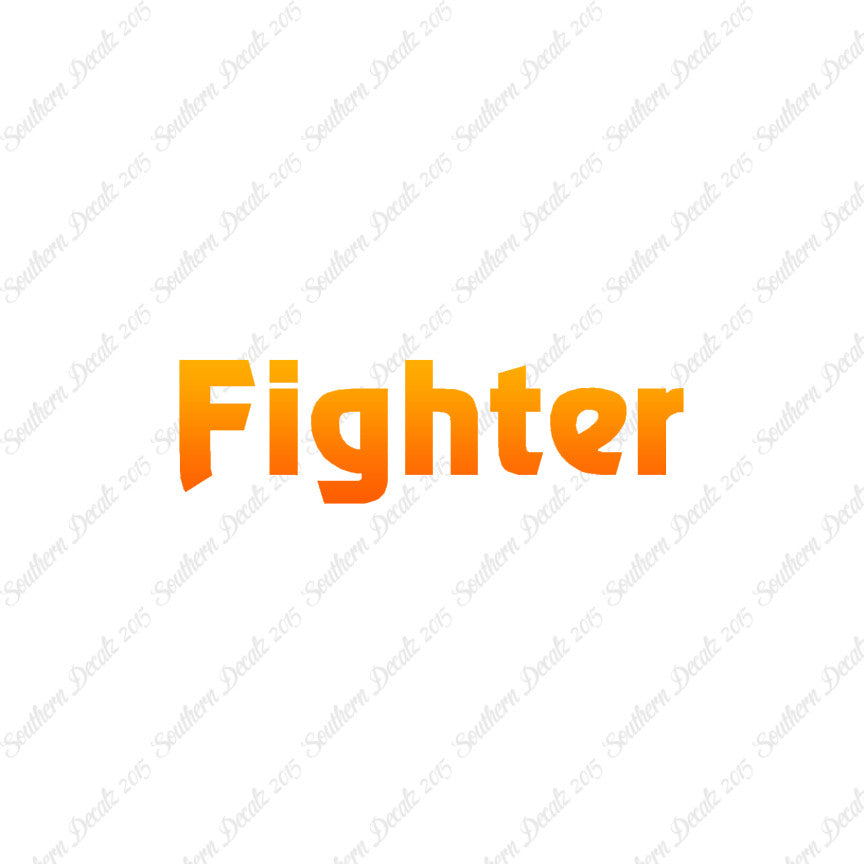 Fighter