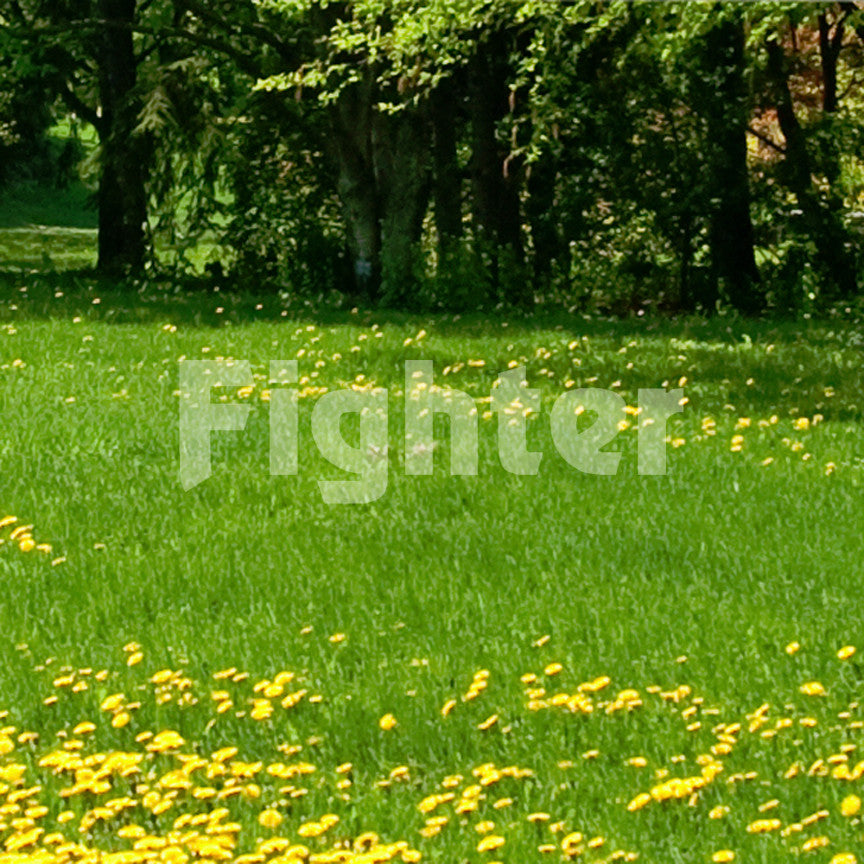 Fighter
