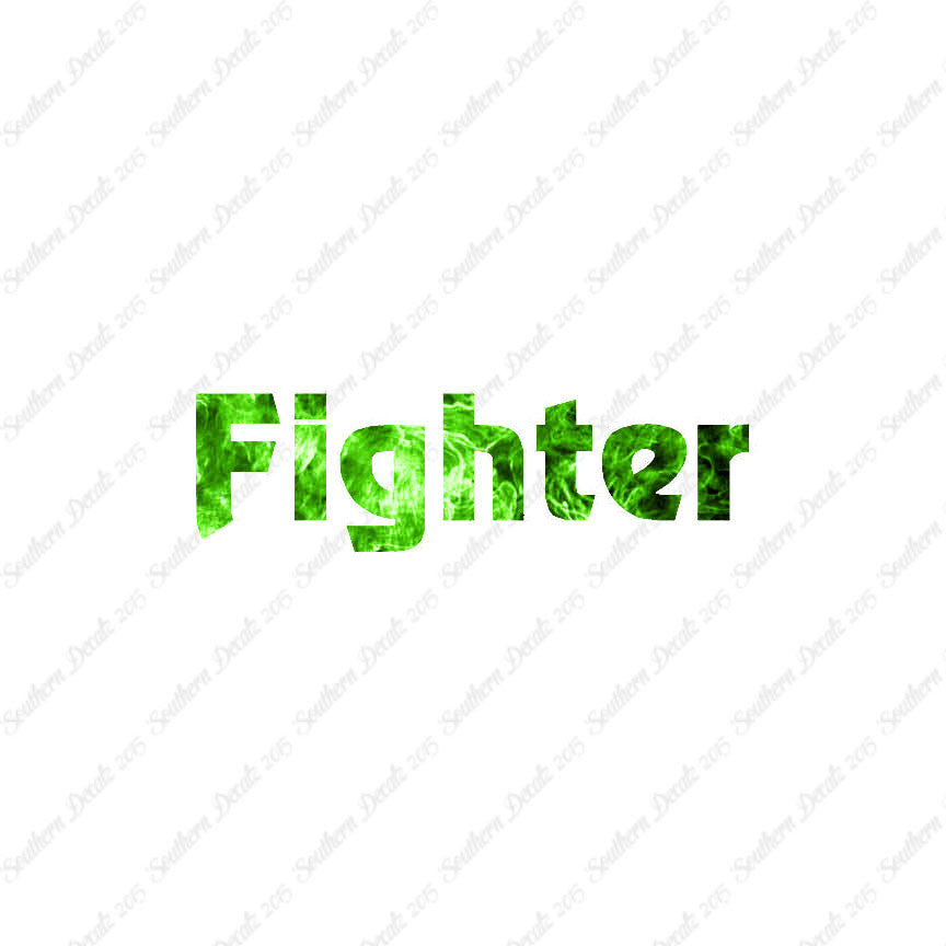 Fighter