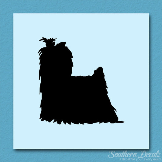 Yorkshire Terrier Dog Breed