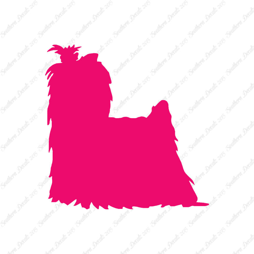 Yorkshire Terrier Dog Breed