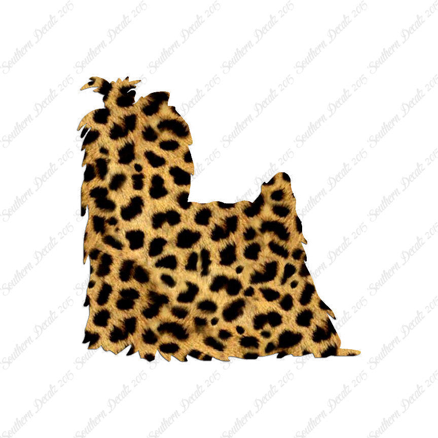 Yorkshire Terrier Dog Breed