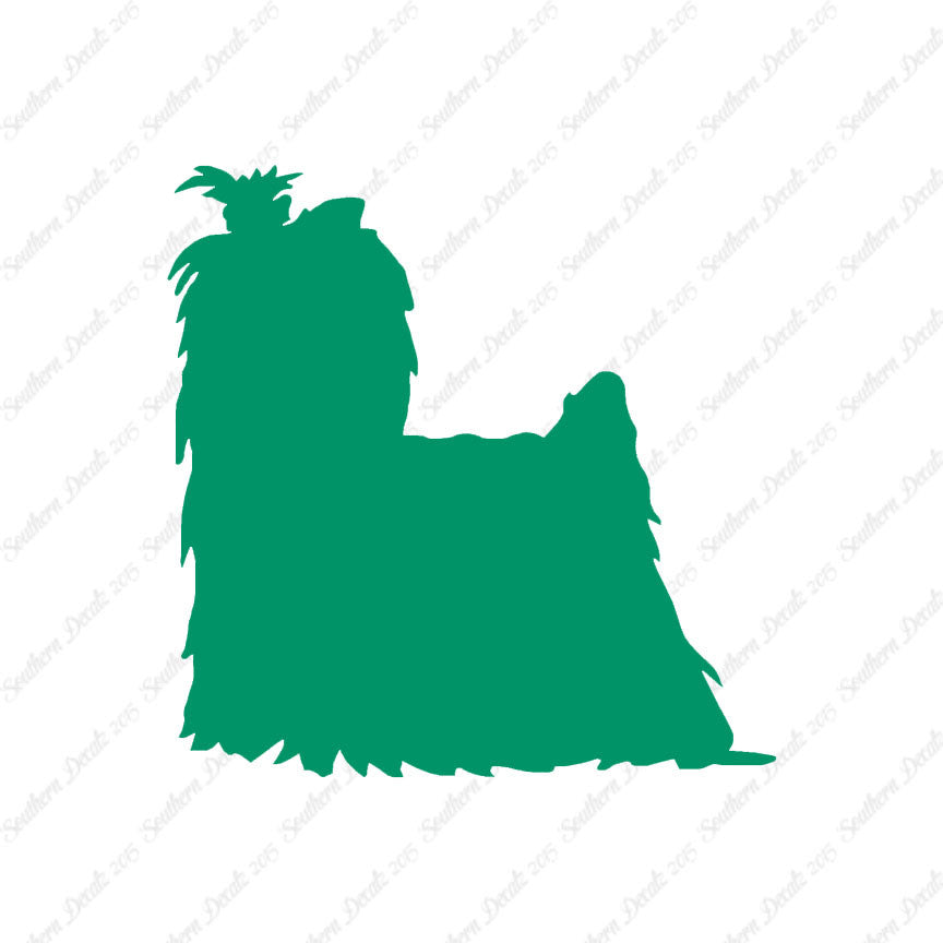 Yorkshire Terrier Dog Breed