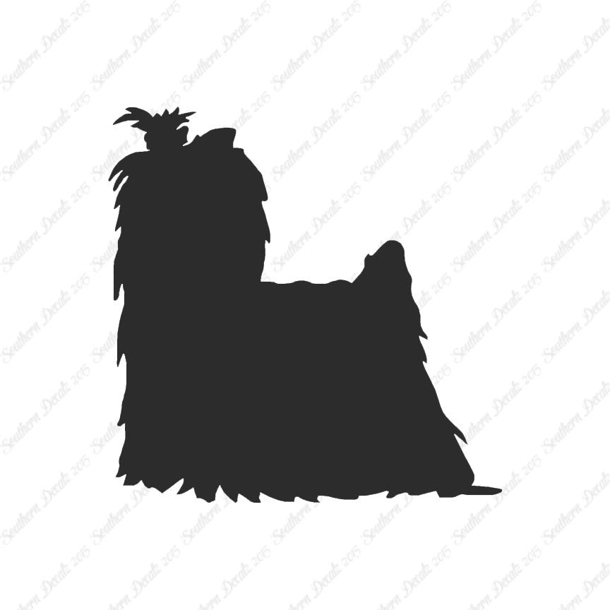 Yorkshire Terrier Dog Breed