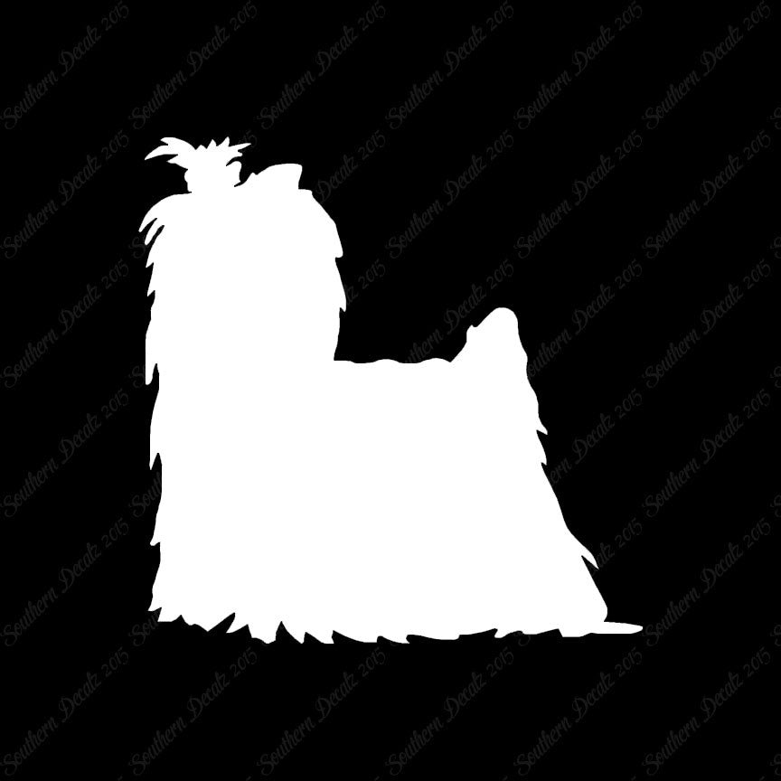 Yorkshire Terrier Dog Breed