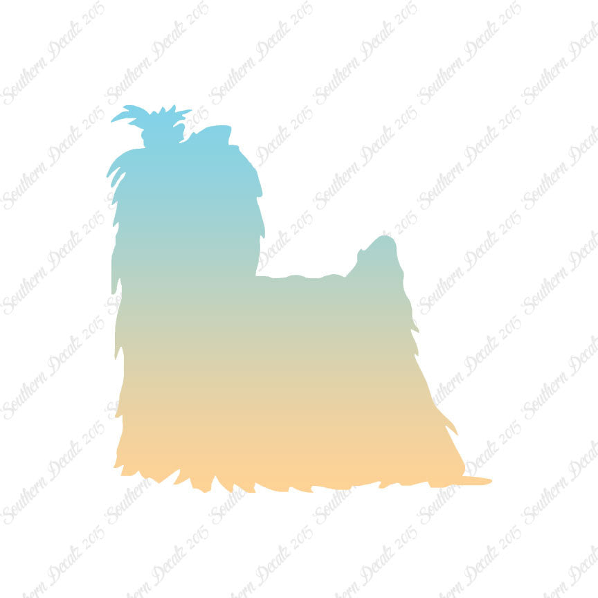 Yorkshire Terrier Dog Breed
