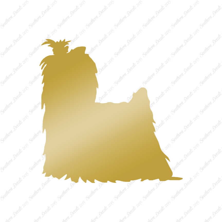 Yorkshire Terrier Dog Breed