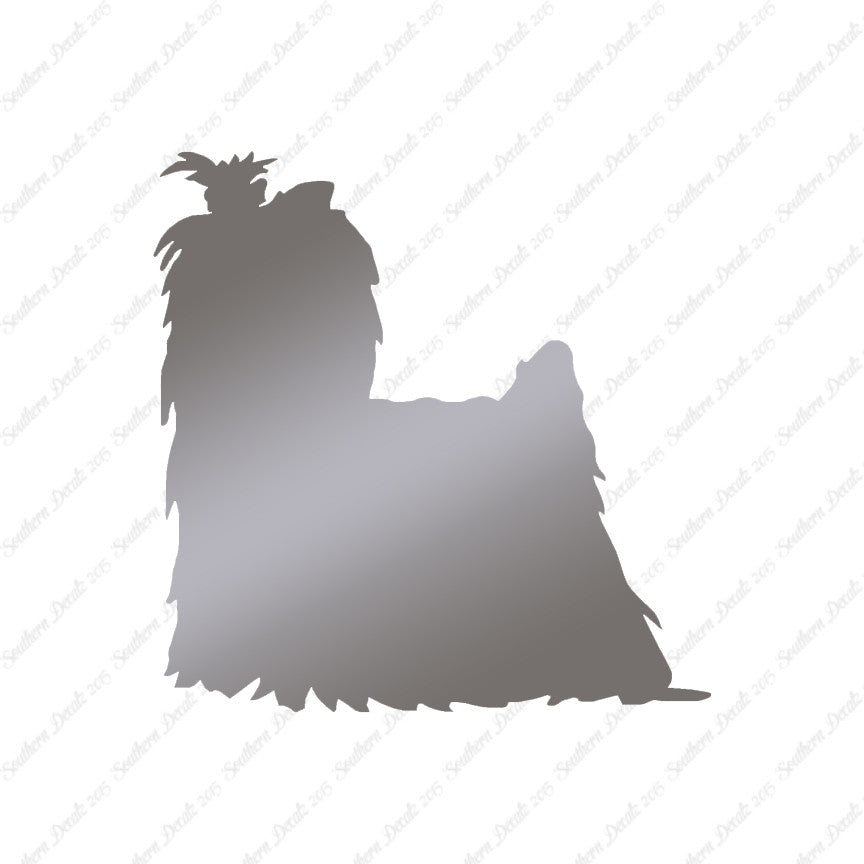 Yorkshire Terrier Dog Breed