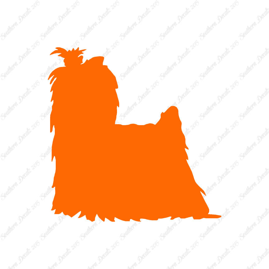 Yorkshire Terrier Dog Breed