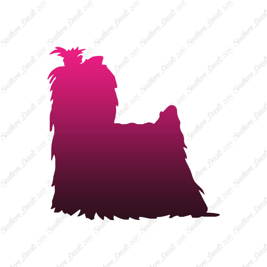 Yorkshire Terrier Dog Breed