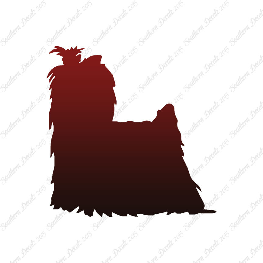 Yorkshire Terrier Dog Breed
