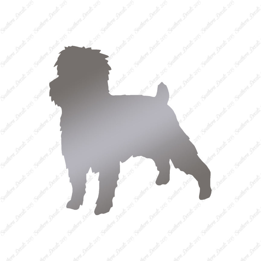 Affenpinscher Dog Breed