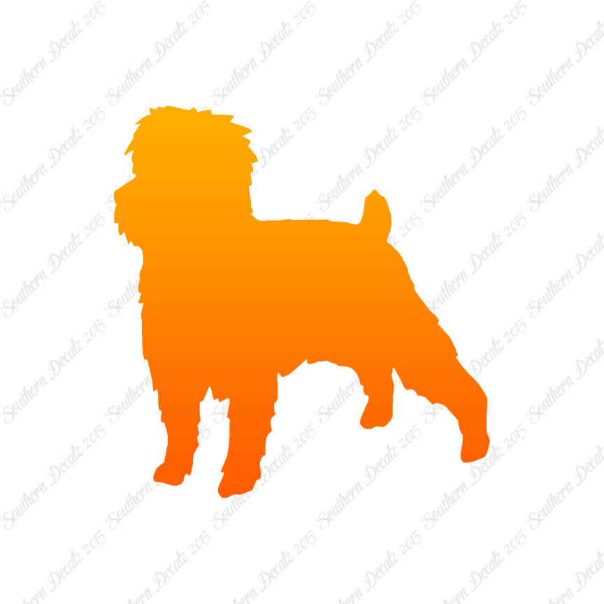 Affenpinscher Dog Breed