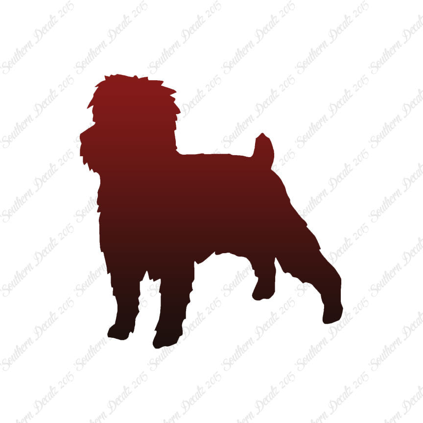 Affenpinscher Dog Breed