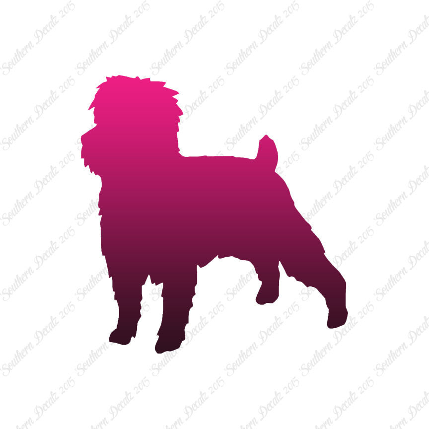 Affenpinscher Dog Breed