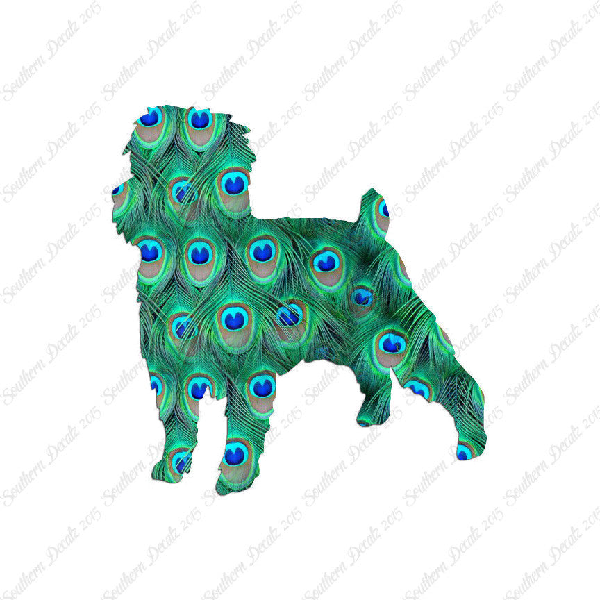 Affenpinscher Dog Breed