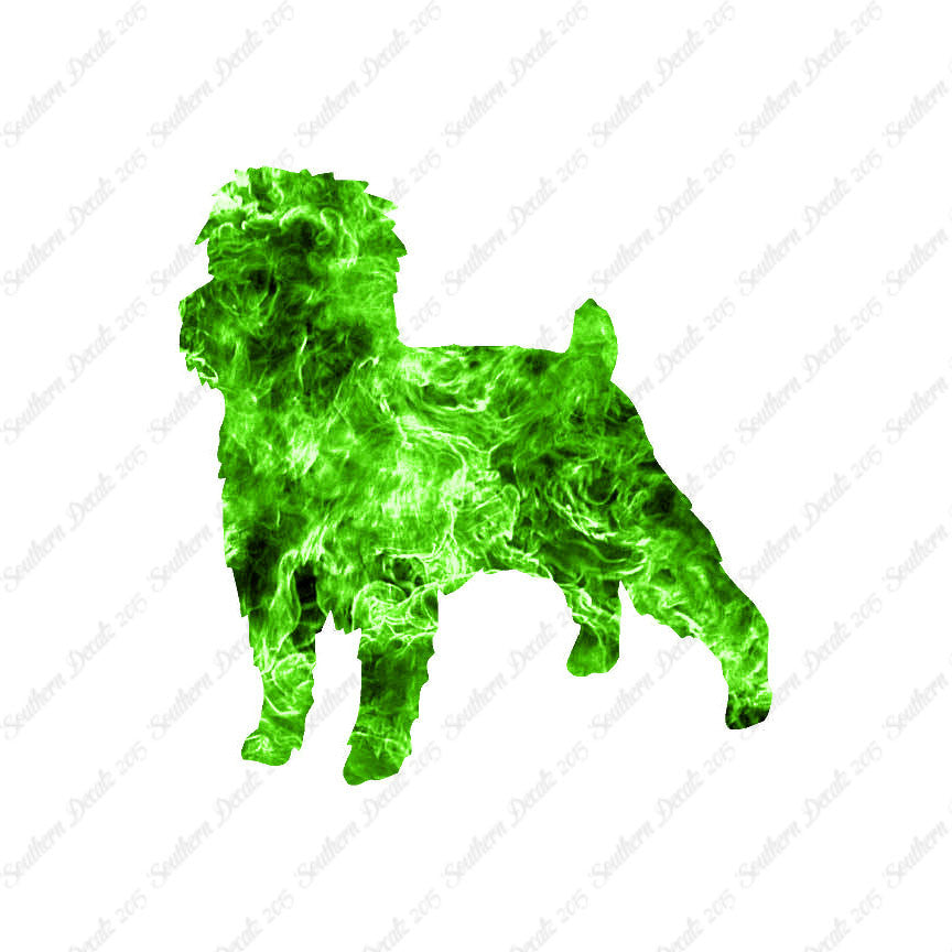 Affenpinscher Dog Breed