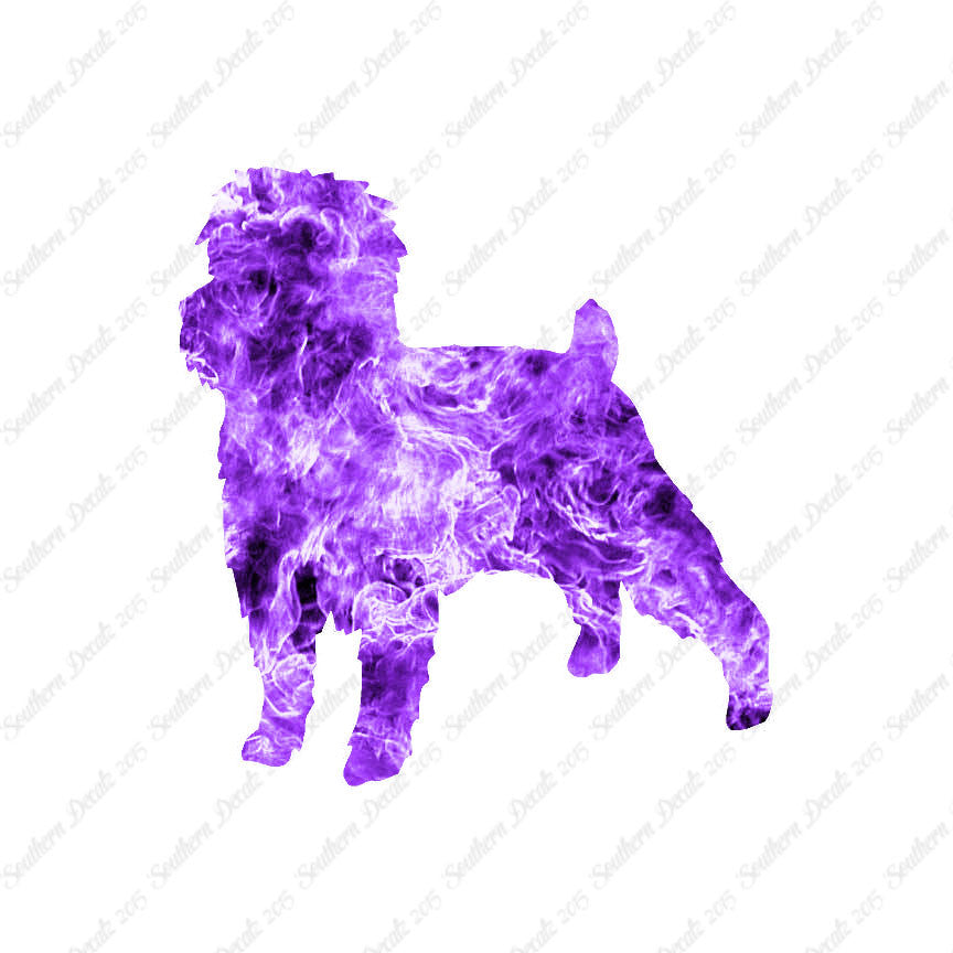 Affenpinscher Dog Breed