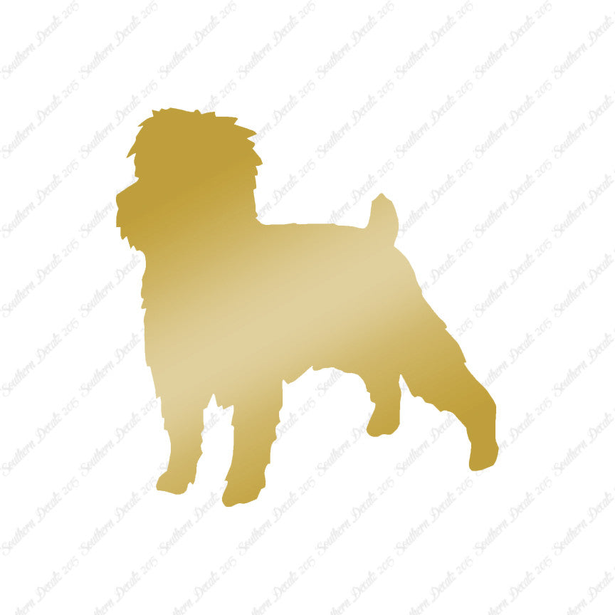 Affenpinscher Dog Breed