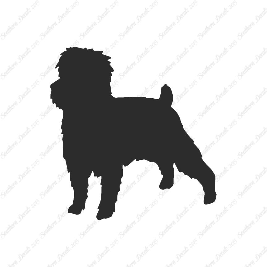 Affenpinscher Dog Breed
