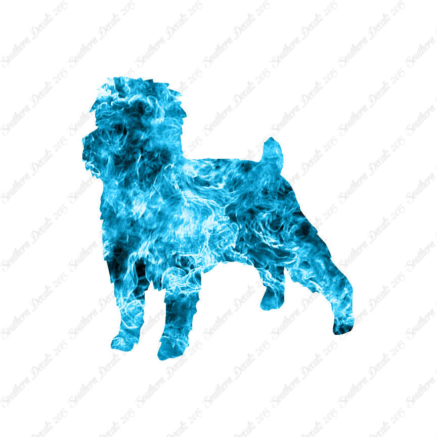 Affenpinscher Dog Breed