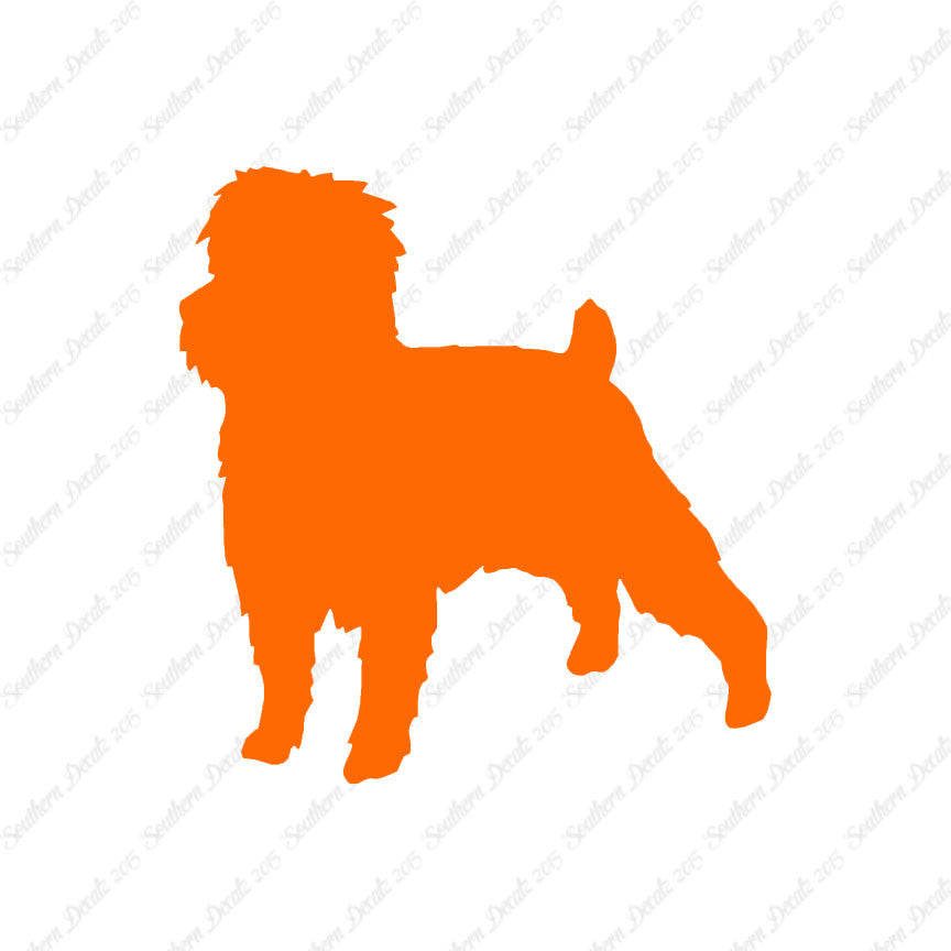 Affenpinscher Dog Breed