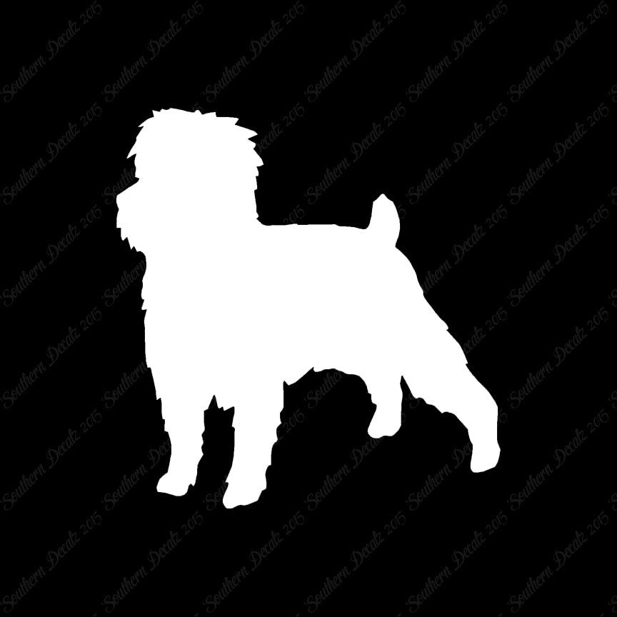 Affenpinscher Dog Breed