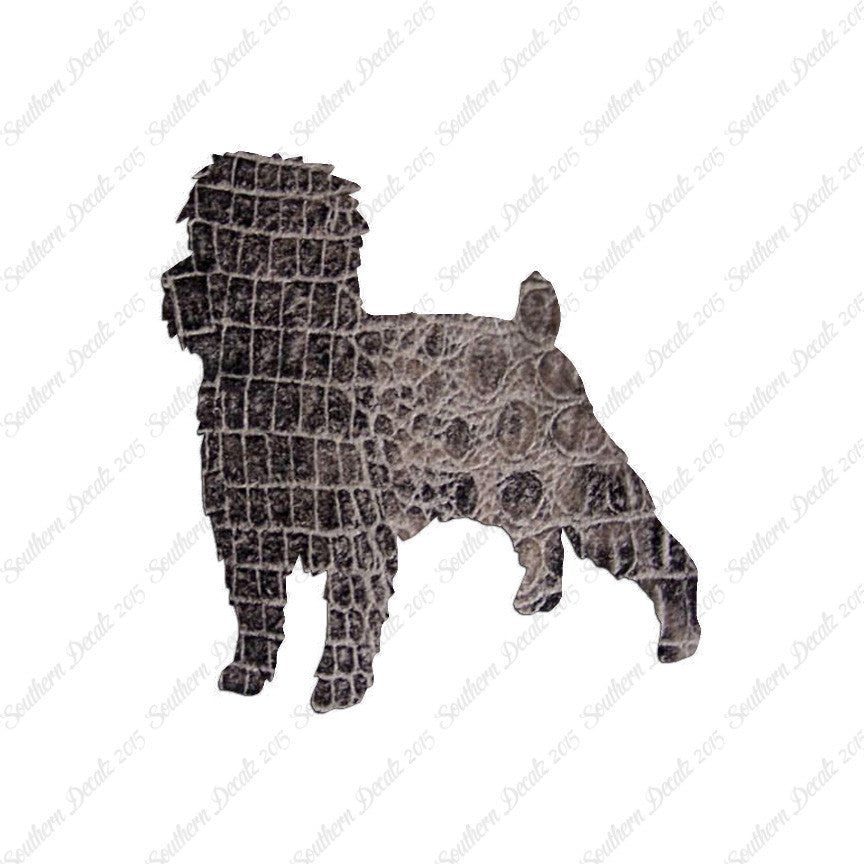 Affenpinscher Dog Breed