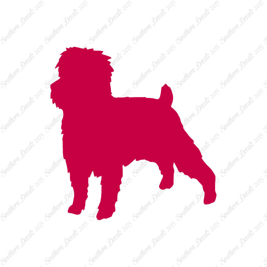 Affenpinscher Dog Breed