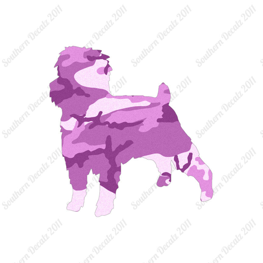 Affenpinscher Dog Breed