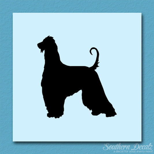 Afghan Hound Dog Breed