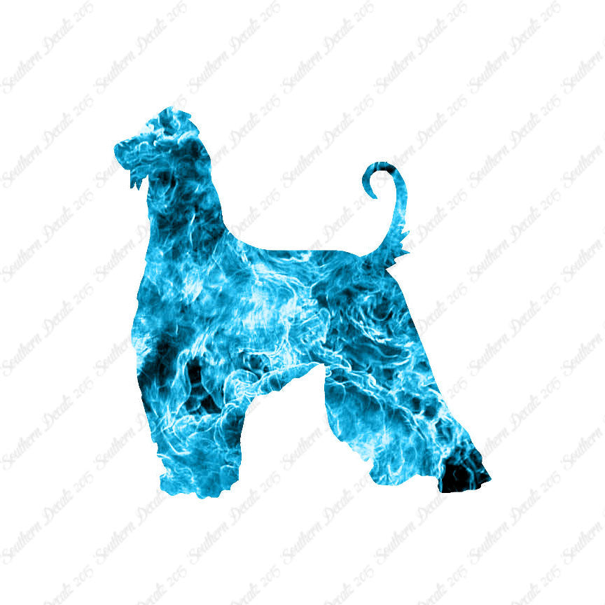 Afghan Hound Dog Breed