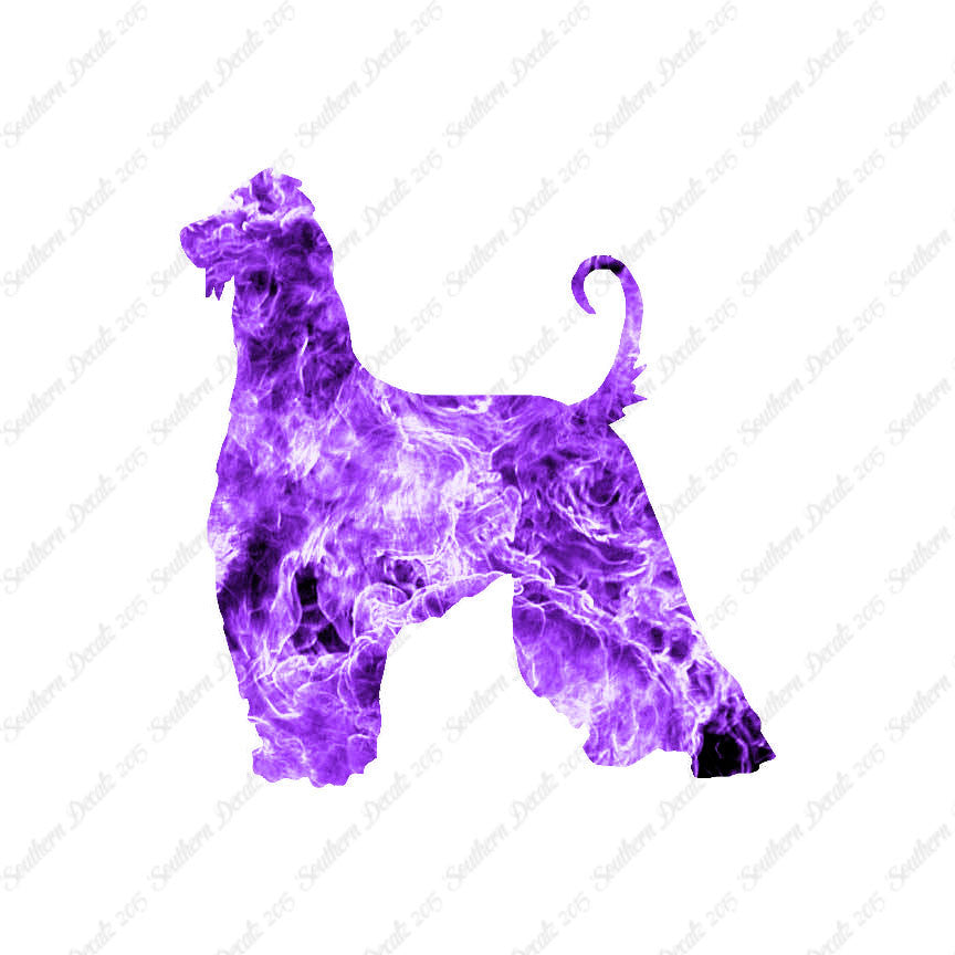 Afghan Hound Dog Breed