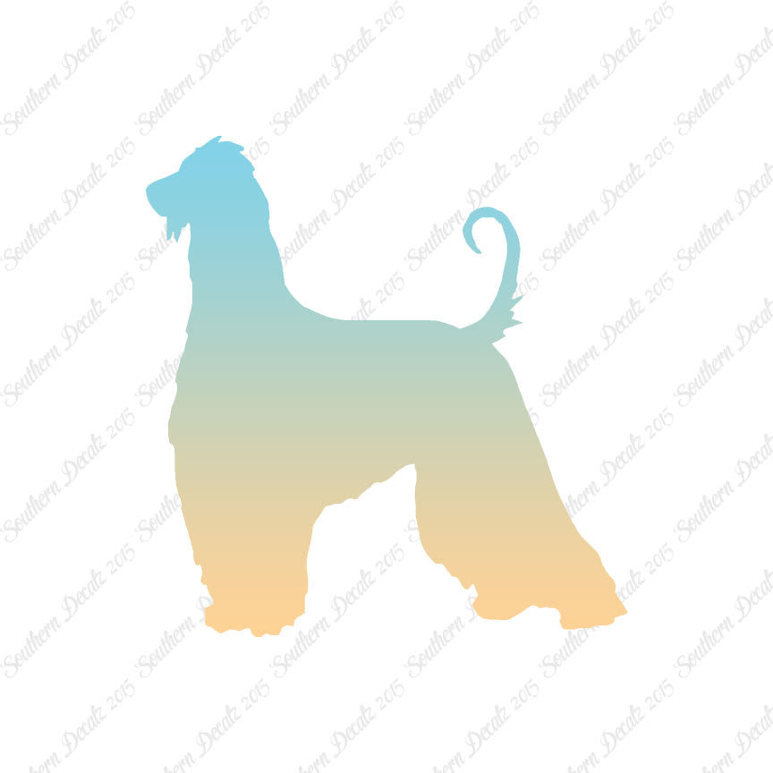 Afghan Hound Dog Breed