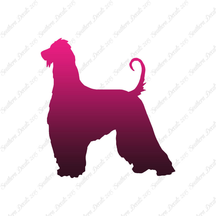 Afghan Hound Dog Breed