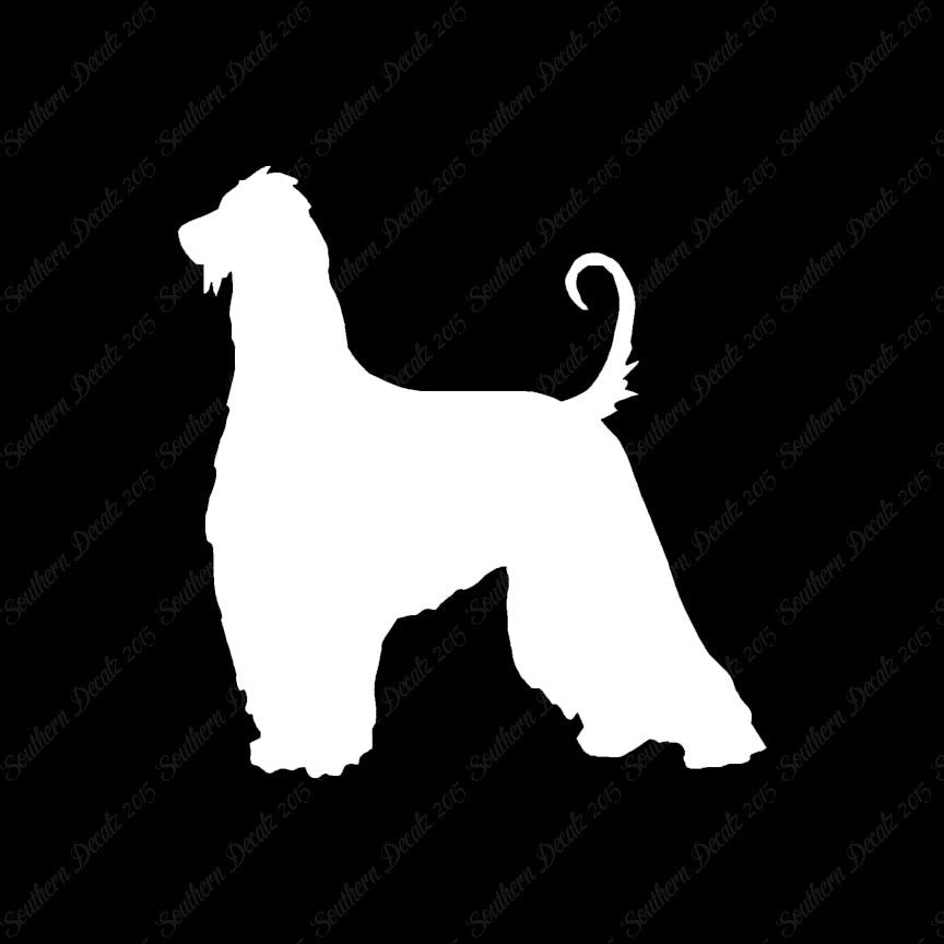 Afghan Hound Dog Breed