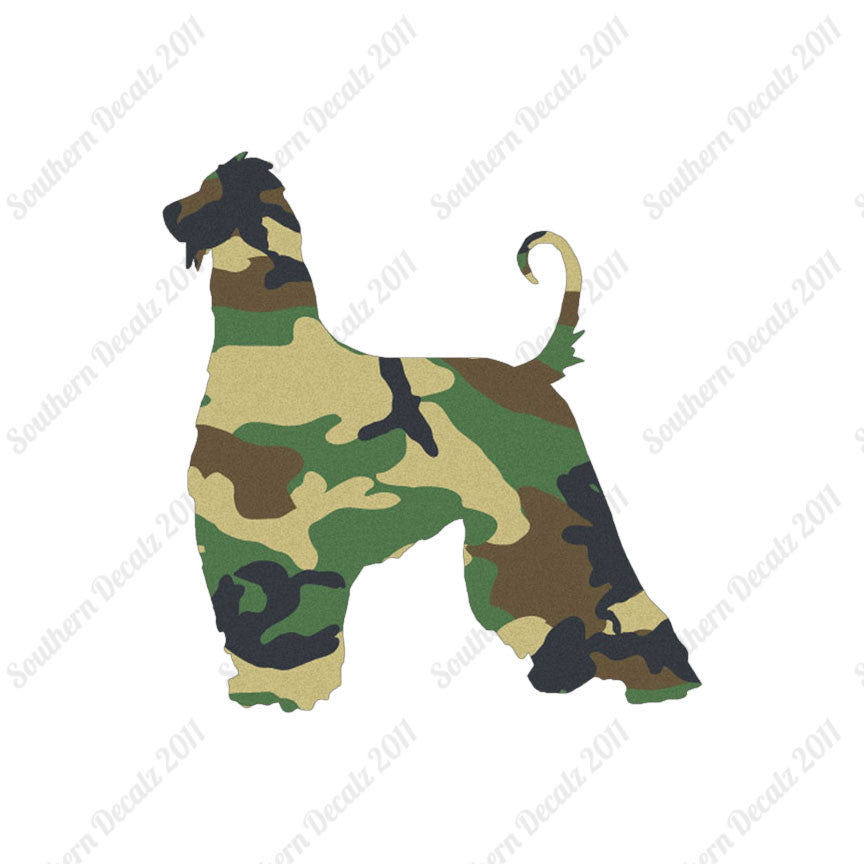 Afghan Hound Dog Breed