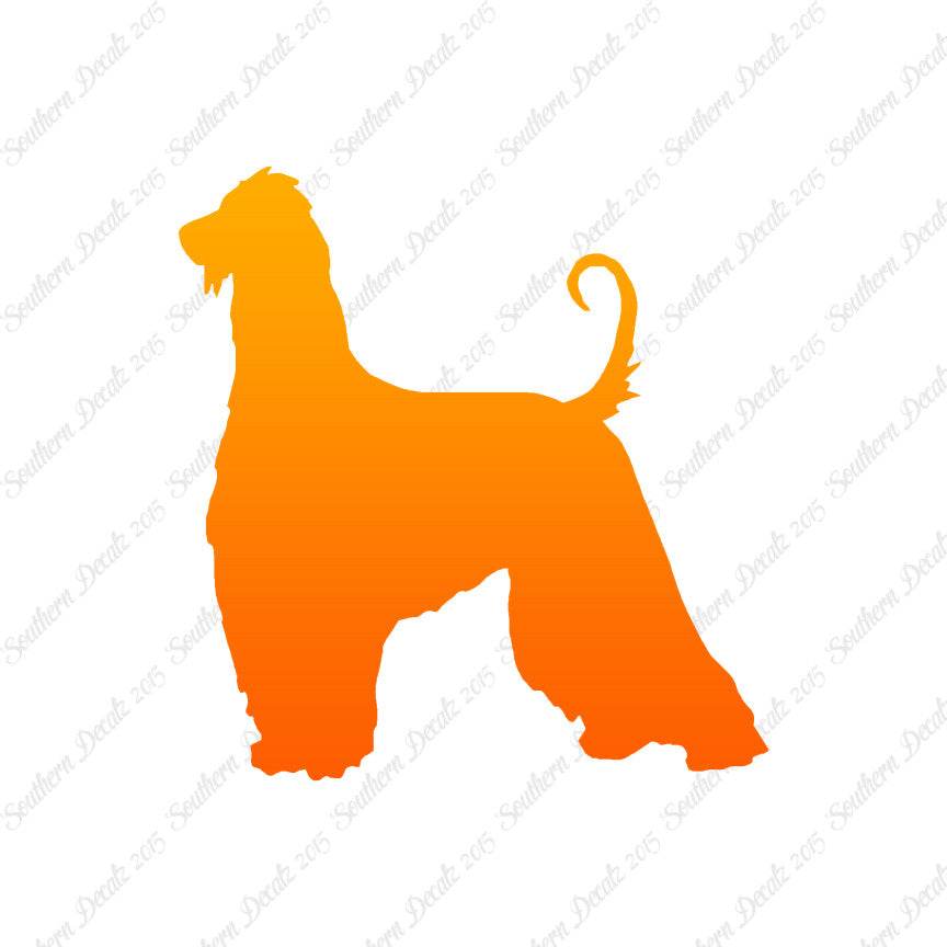 Afghan Hound Dog Breed