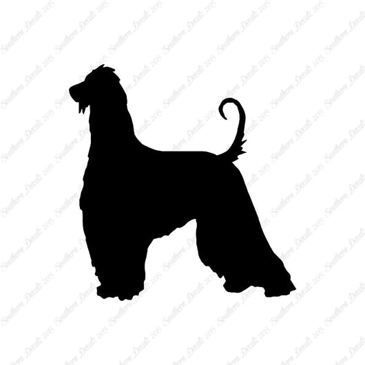Afghan Hound Dog Breed