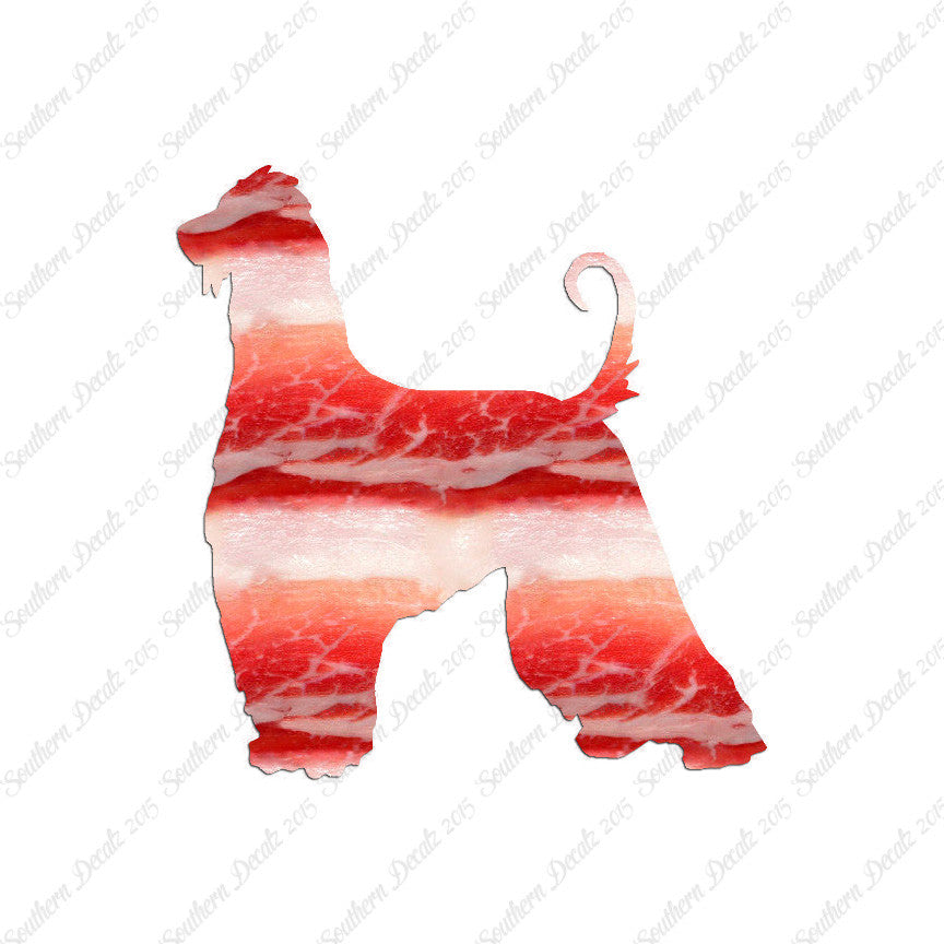 Afghan Hound Dog Breed