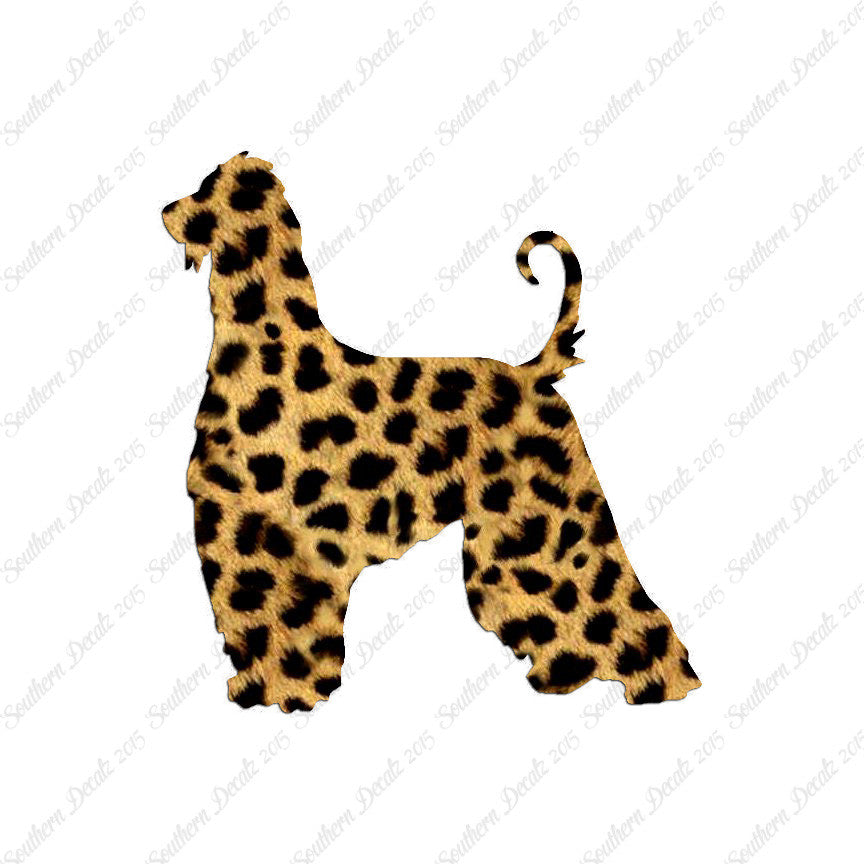 Afghan Hound Dog Breed