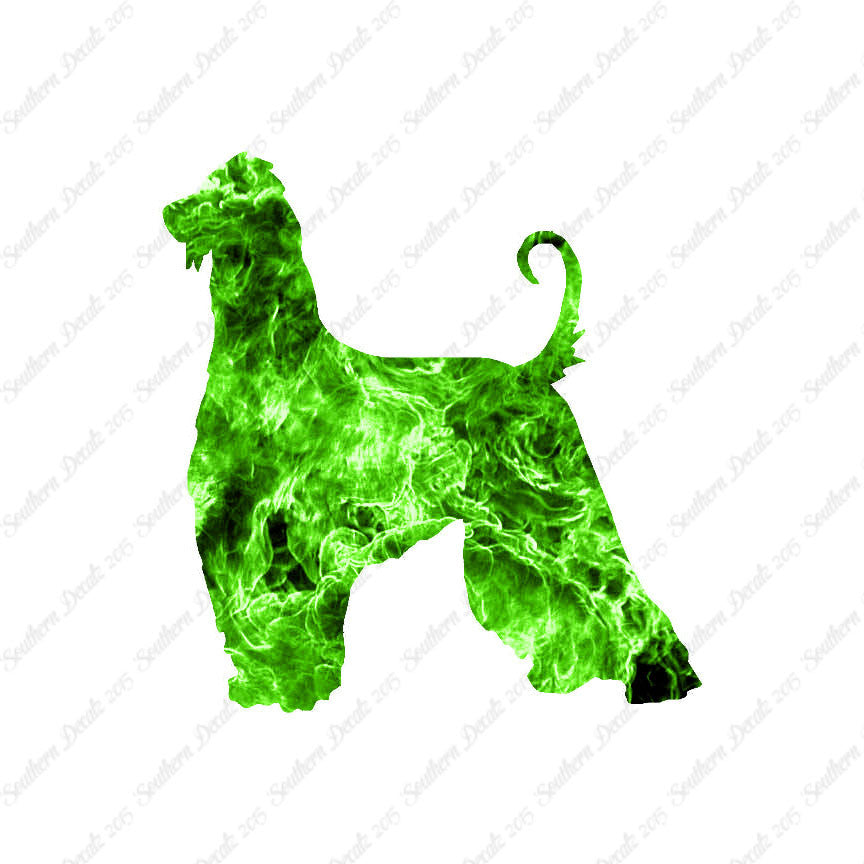 Afghan Hound Dog Breed