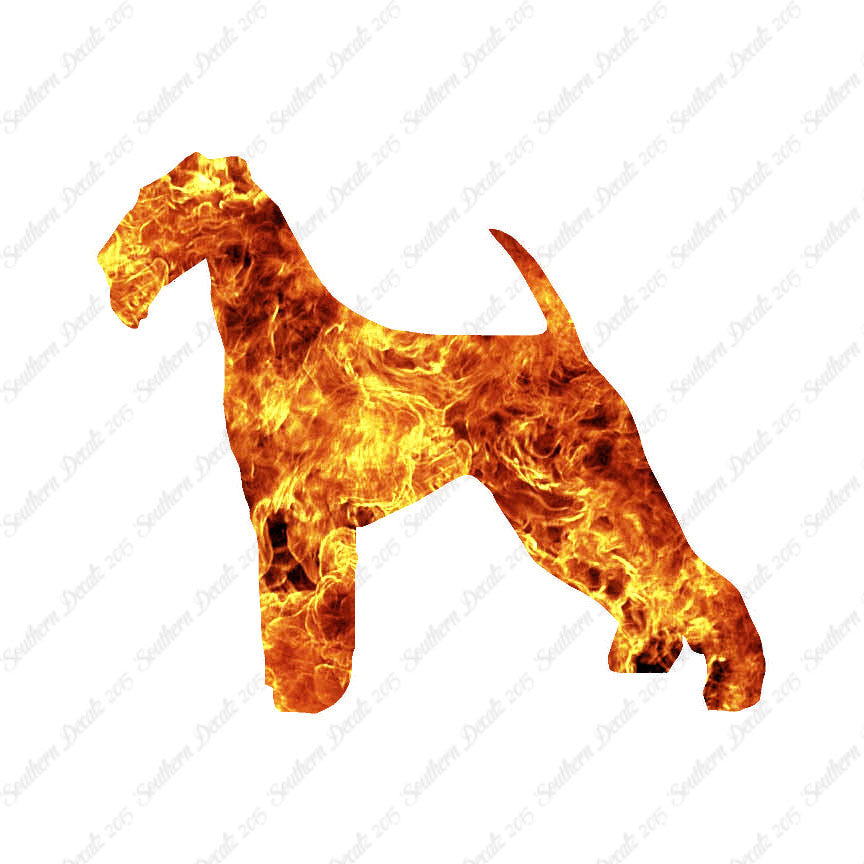 Airedale Terrier Dog Breed