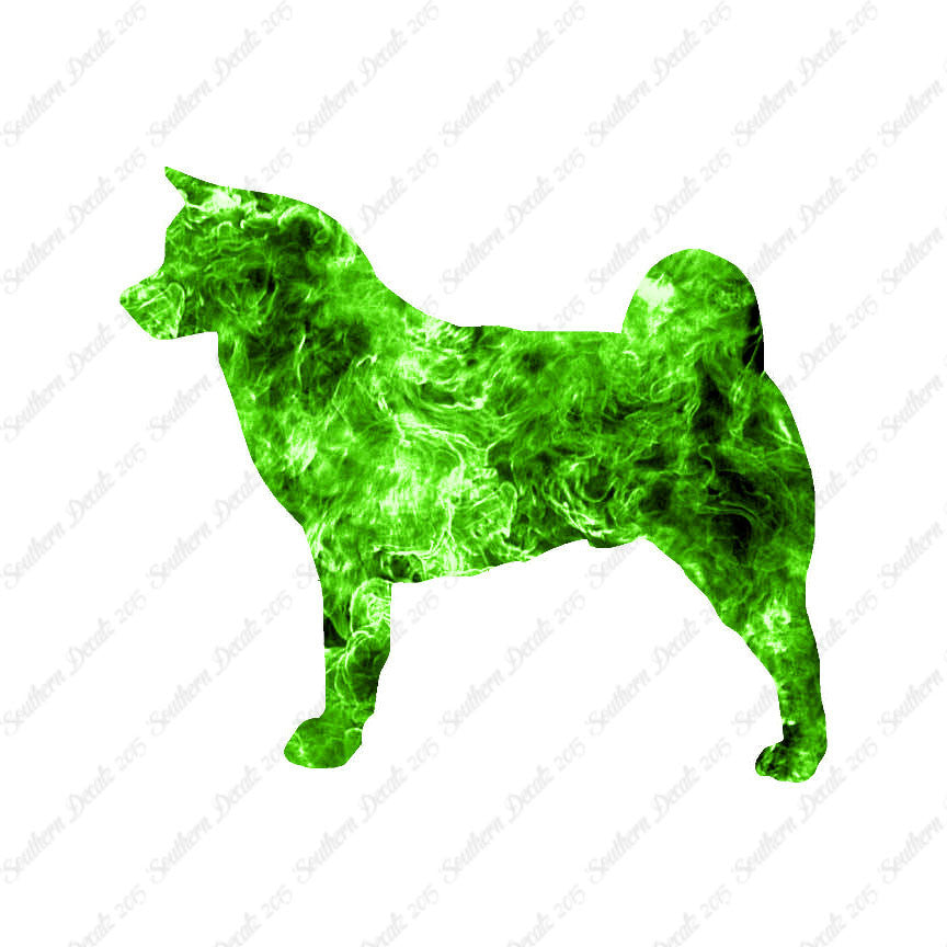 Akita Dog Breed