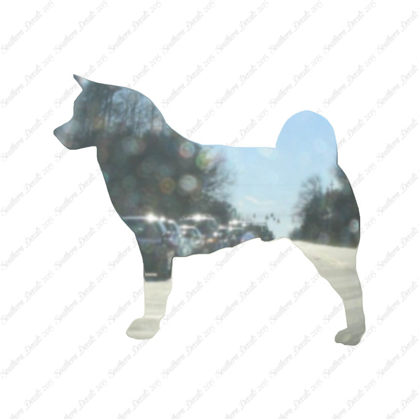 Akita Dog Breed