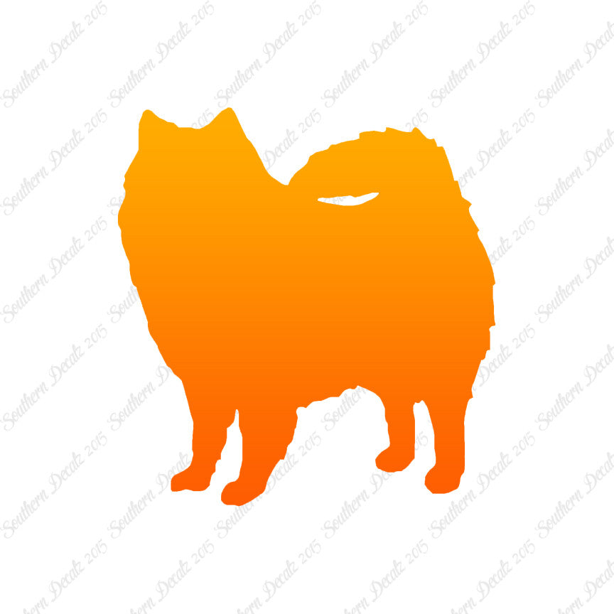 American Eskimo Dog Breed